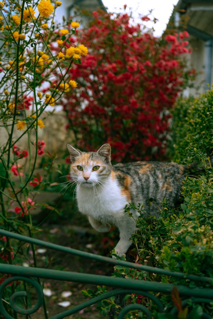 The Art of Drawing Readers In: Your attractive post title goes here A charming calico cat amidst colorful flowers in a lush garden setting, exuding tranquility.