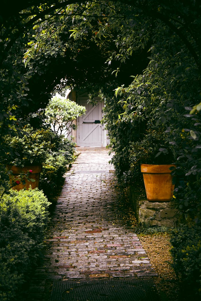 Mastering the First Impression: Your intriguing post title goes here A lush, leafy pathway leading to a quaint garden gate in Paris.