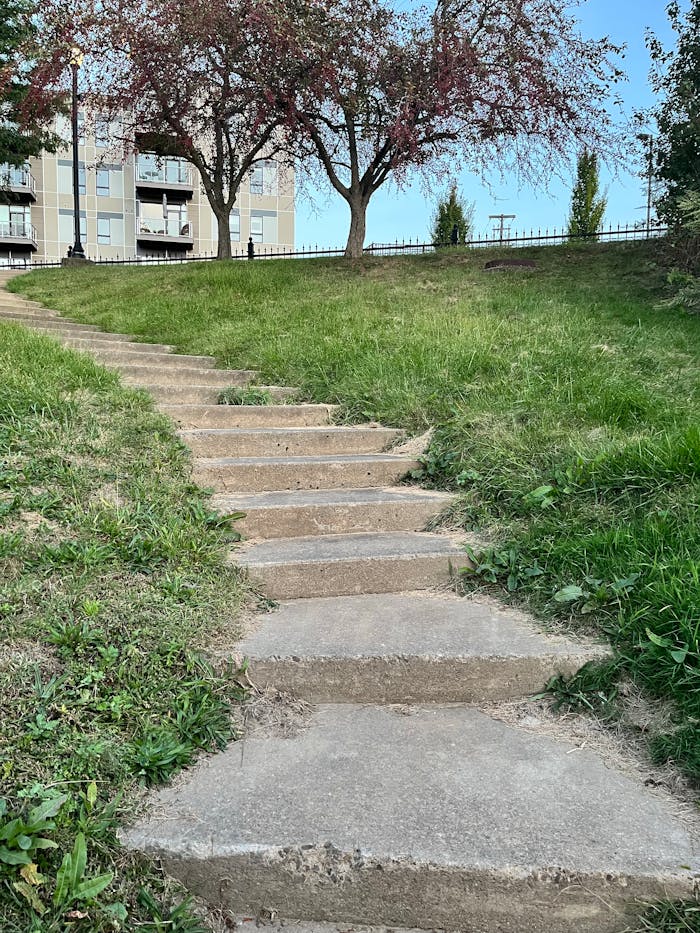 Services pexels-photo-34109505.jpeg