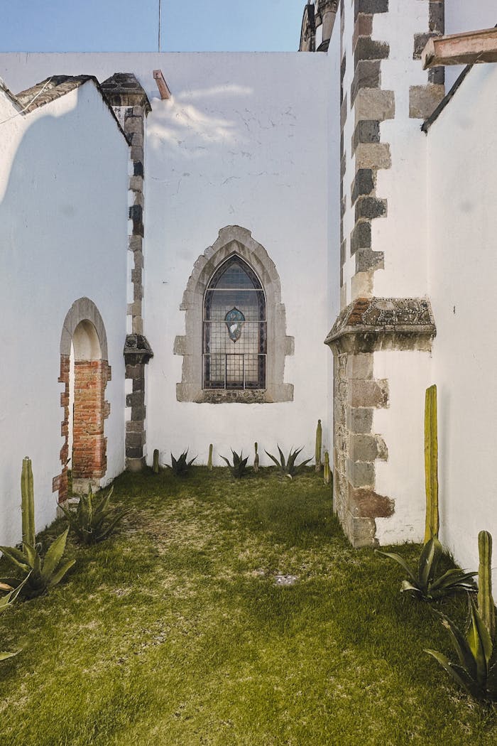 Services Shot with OldRoll Classic M.