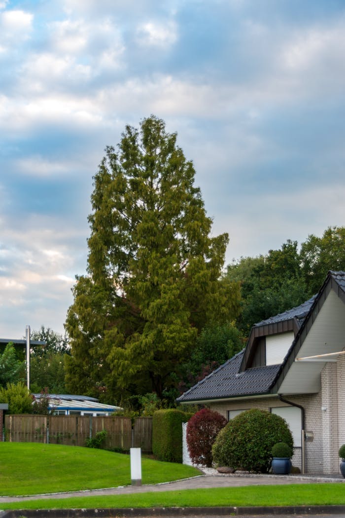 Services Contemporary suburban home with a well-kept garden and a cloudy sky, creating a serene atmosphere.